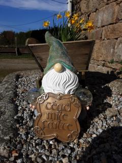 Ty Céad Míle Fáilte - 9