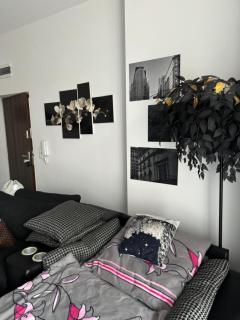 Smart-Apt Comfortable apartment in the center of Katowice - 6