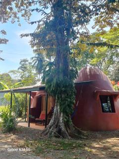 Casa Pitufo - Cahuita - 8