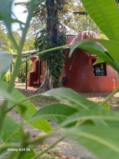 Casa Pitufo - Cahuita - 9