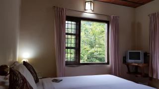 Royal Mist Villa - Munnar - 3