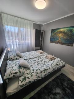 Elizabet Apartman Szolnok - Szolnok - 6