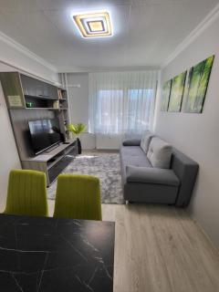 Elizabet Apartman Szolnok - Szolnok - 3