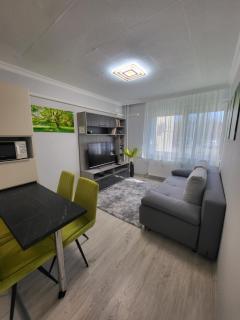 Elizabet Apartman Szolnok - Szolnok - 2