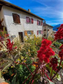 2 bedroom apartment with Carnotzet - 9