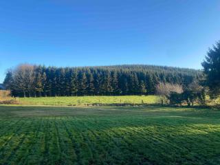 Evergreen view- 3 bedroom house in kingscourt - 7