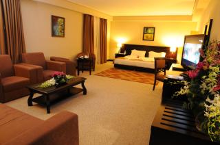 Monroe Hotel & Suites - 9