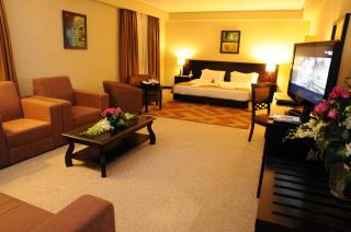 Monroe Hotel & Suites - 8
