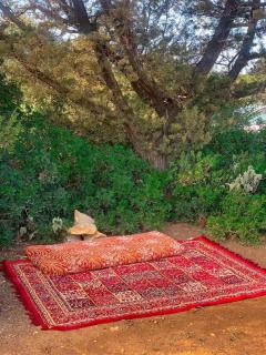 اذرح فارم - - 0