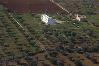 B&B Quattrolinari - Conversano - 6
