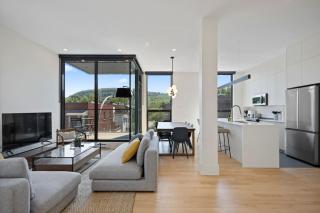 Amazing and Spacious 5BR2B in Heart of Plateau - Montréal - 8