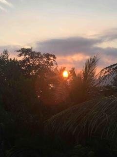 Eco Lodge in nature -10 min to Paraty centerl - Paraty - 6