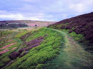 Stunning Sea View Blue Haven in Penmaenmawr - 8