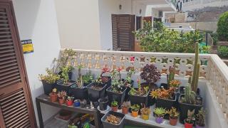 Renovated Villa in Las Americas Sea Coast - Playa de las Americas - 9