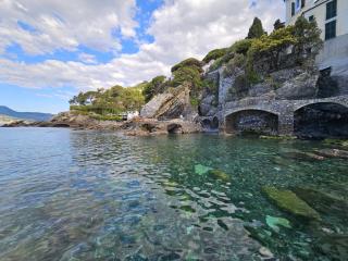 La stella sulle terrazze - 2