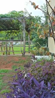 El Jardín Secreto - Trinidad - 6