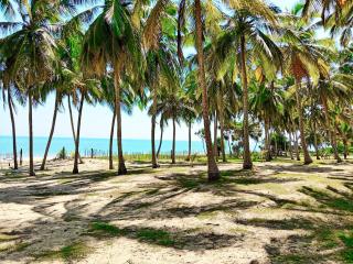 Helios Beach Resort - 7