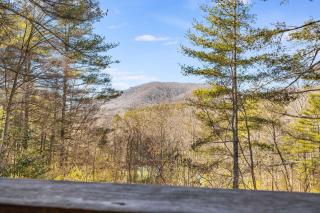 Serenade Cove by Carolina Mornings - Hendersonville - 9