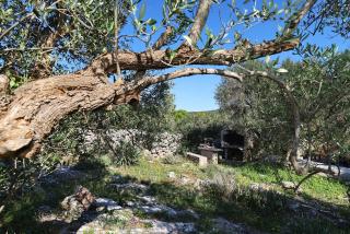 Secluded fisherman's cottage Cove Ladjin - Landjin, Pasman - 24044 - Tkon - 4