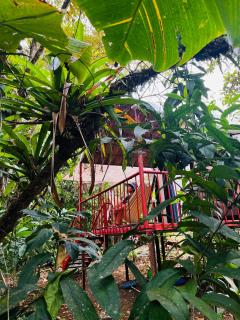 Garza del Sol Glamping Bromelia - 7