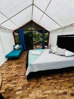 Garza del Sol Glamping Río Celeste Bromelia - San Rafael - 7