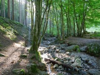 Charming Apartment in Ardennes - 4