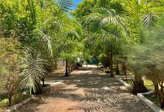 Kuba Lodge - 6