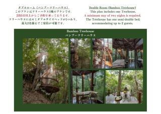 Treeful Treehouse Sustainable Resort - Nago - 2