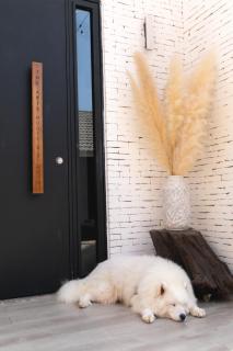 THE ARIX House & Studio - Đà Lạt - 2