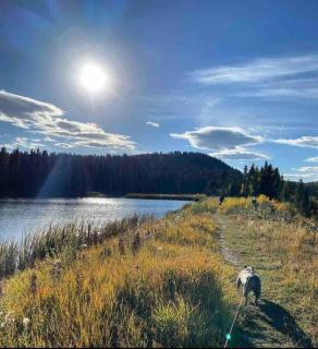 Rustic Cozy Cabin with hot tub - Bragg Creek - 7