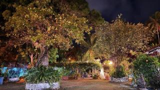 Casa Jardín Nueva Gorgona - Nueva Gorgona - 4