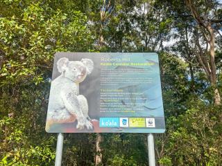 Pacific Vista - Coffs Harbour - 6