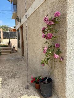 Hospedaje en viña del mar - 7