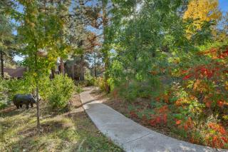 Birders, botanist and hikers’ oasis in FLG - Flagstaff - 7