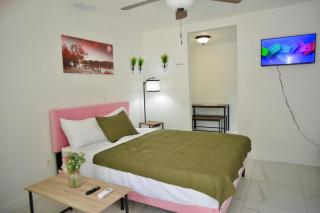 Spacious Studio heart Of Miami - 2