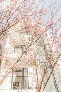 THE ARIX House & Studio - Đà Lạt - 4
