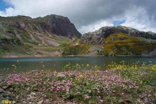 Apartamentos Rurales Casa Marcelo - 3