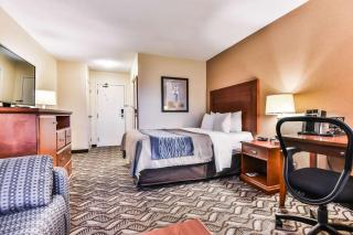 Comfort Inn & Suites Ambassador Bridge - Windsor - 5