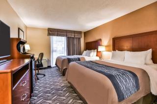 Comfort Inn & Suites Ambassador Bridge - Windsor - 4
