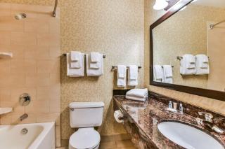 Comfort Inn & Suites Ambassador Bridge - Windsor - 1