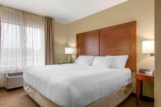 Comfort Inn & Suites Black River Falls I-94 - Black River Falls - 8