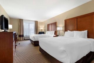 Comfort Inn & Suites Black River Falls I-94 - Black River Falls - 3