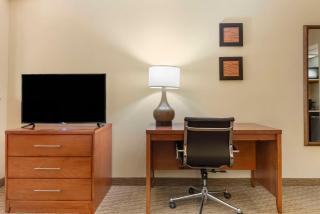 Comfort Inn & Suites Black River Falls I-94 - Black River Falls - 3