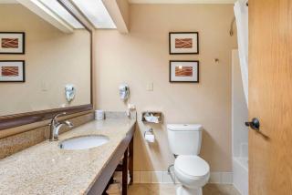 Comfort Inn & Suites Black River Falls I-94 - Black River Falls - 2