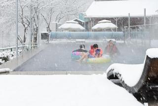 Gapyeong Valley Love Pension - Gapyeong - 4