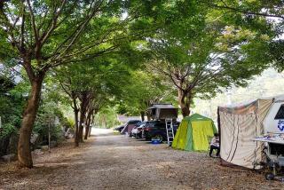Riverside Forest Pension Camping - Gapyeong - 2