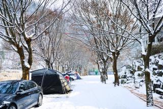 Riverside Forest Pension Camping - Gapyeong - 7