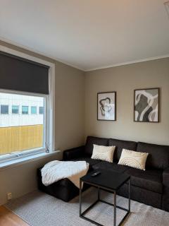 One-Bedroom in the city of Porsgrunn - Porsgrunn - 5