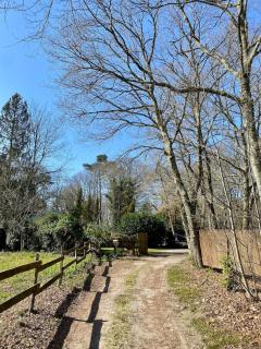 cabane - Saint-Vincent-de-Paul - 1