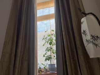 Bamboo - Praga - 5